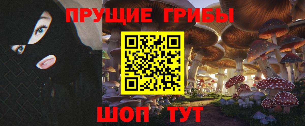 Галлюциногенные грибы мухоморы  Вход с VPN  Тында  Галлюциногенные грибы GOLDEN TEACHER 